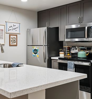 Newly renovated apartments are available
